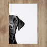Custom Pet Portrait in Peekaboo Half Style