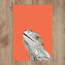 Custom Pet Portrait in Peekaboo with Color Background