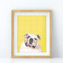 Custom Pet Portrait in Peekaboo with Color Background