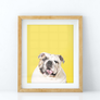 Custom Pet Portrait in Peekaboo with Color Background