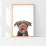 Custom Pet Portrait in Peekaboo Style