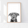 Custom Pet Portrait in Peekaboo Style