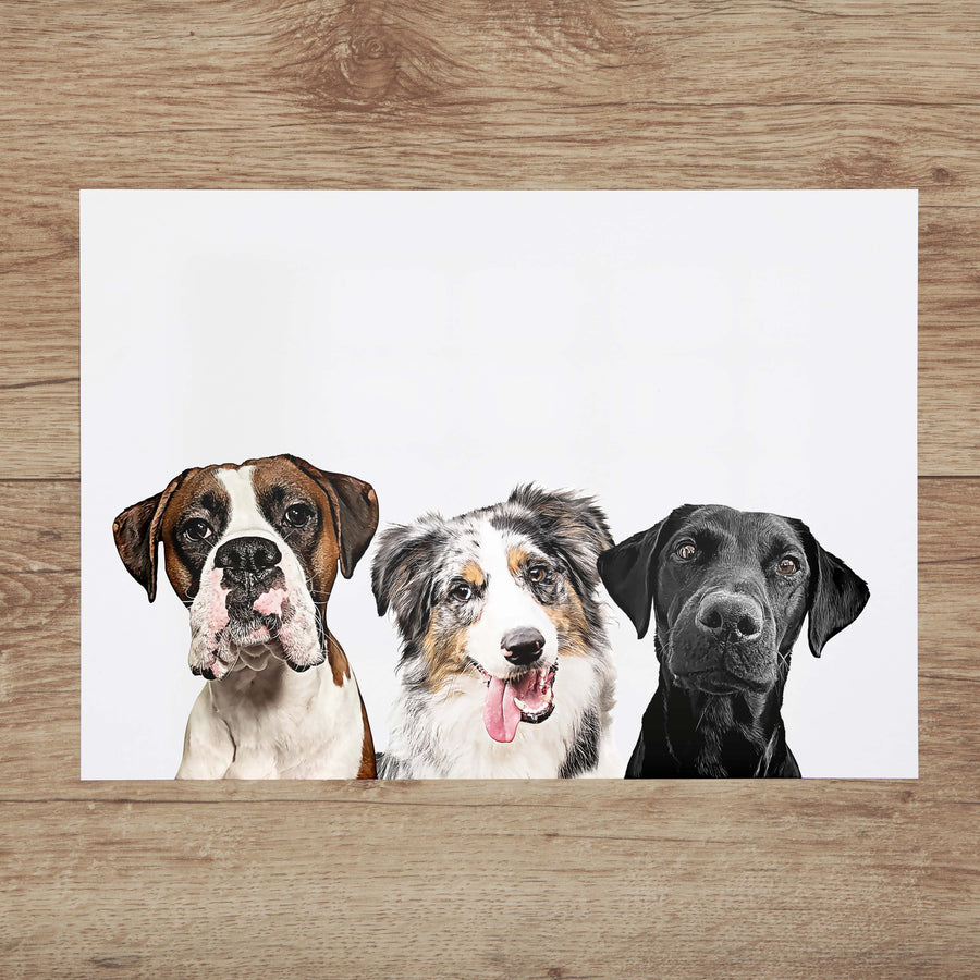 Custom Pet Portrait with Three Pets