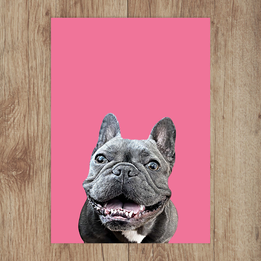 Custom Pet Portrait in Peekaboo with Color Background