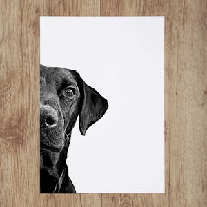 Custom Pet Portrait in Peekaboo Half Style