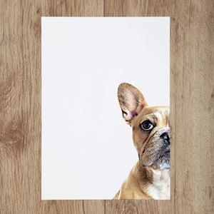 Custom Pet Portrait in Peekaboo Half Style