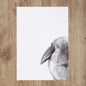 Custom Pet Portrait in Peekaboo Half Style
