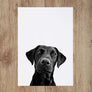 Custom Pet Portrait in Peekaboo Style from Angle