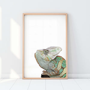 Custom Pet Portrait in Peekaboo Style from Angle