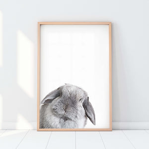 Custom Pet Portrait in Peekaboo Style from Angle