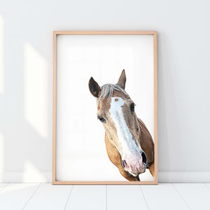 Custom Pet Portrait in Peekaboo Style from Angle