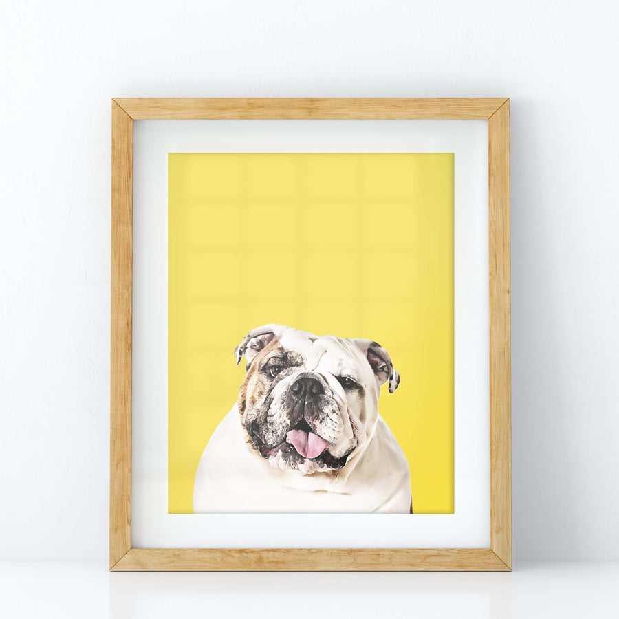 Custom Pet Portrait in Peekaboo with Color Background