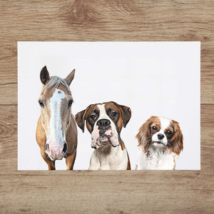 Custom Pet Portrait with Three Pets