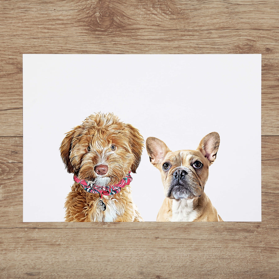 Custom Pet Portrait with Two Pets
