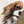 Custom Pet Portrait in Peekaboo Half Style