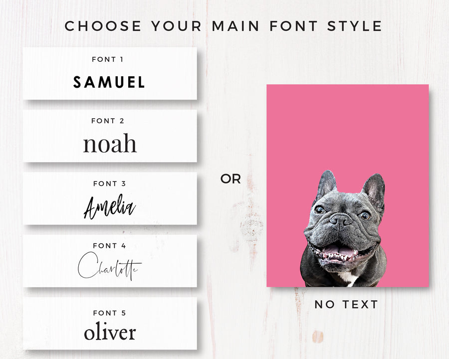 Custom Pet Portrait in Peekaboo with Color Background